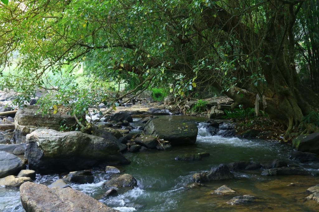 Nivahana Homestay Kandy Kültér fotó
