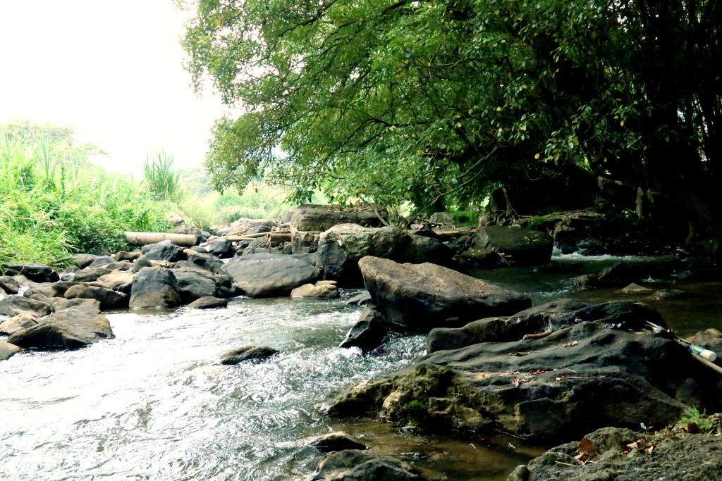 Nivahana Homestay Kandy Kültér fotó