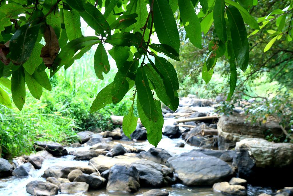 Nivahana Homestay Kandy Kültér fotó