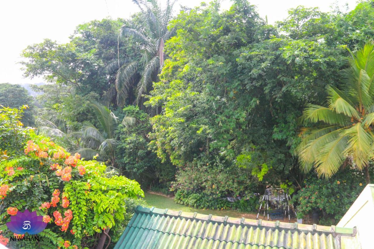 Nivahana Homestay Kandy Kültér fotó