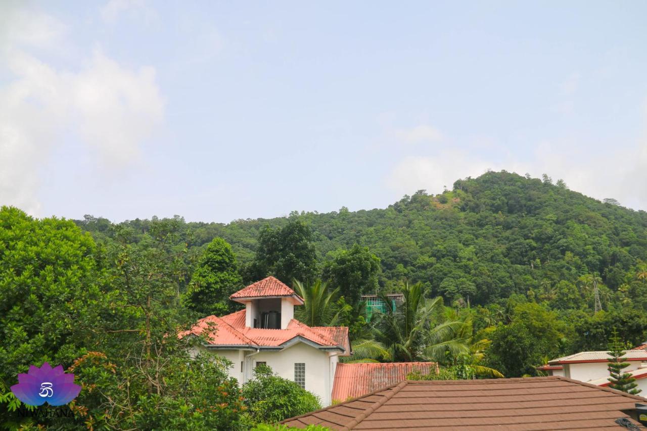 Nivahana Homestay Kandy Kültér fotó